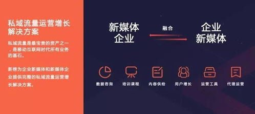 新榜2019內(nèi)容創(chuàng)業(yè)年度報(bào)告 洞見(jiàn)行業(yè)趨勢(shì)，賦能商業(yè)增長(zhǎng)