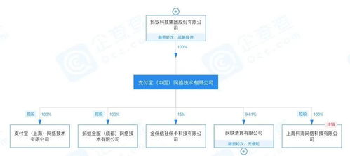 螞蟻集團(tuán)高層變動(dòng)玄機(jī) 信息系統(tǒng)集成服務(wù)背后戰(zhàn)略調(diào)整