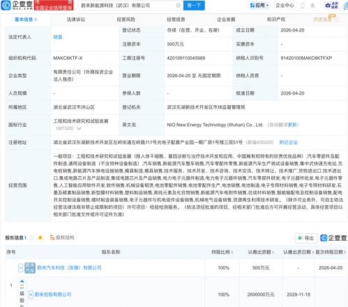 蔚來于武漢成立新能源科技公司，布局人工智能軟件開發
